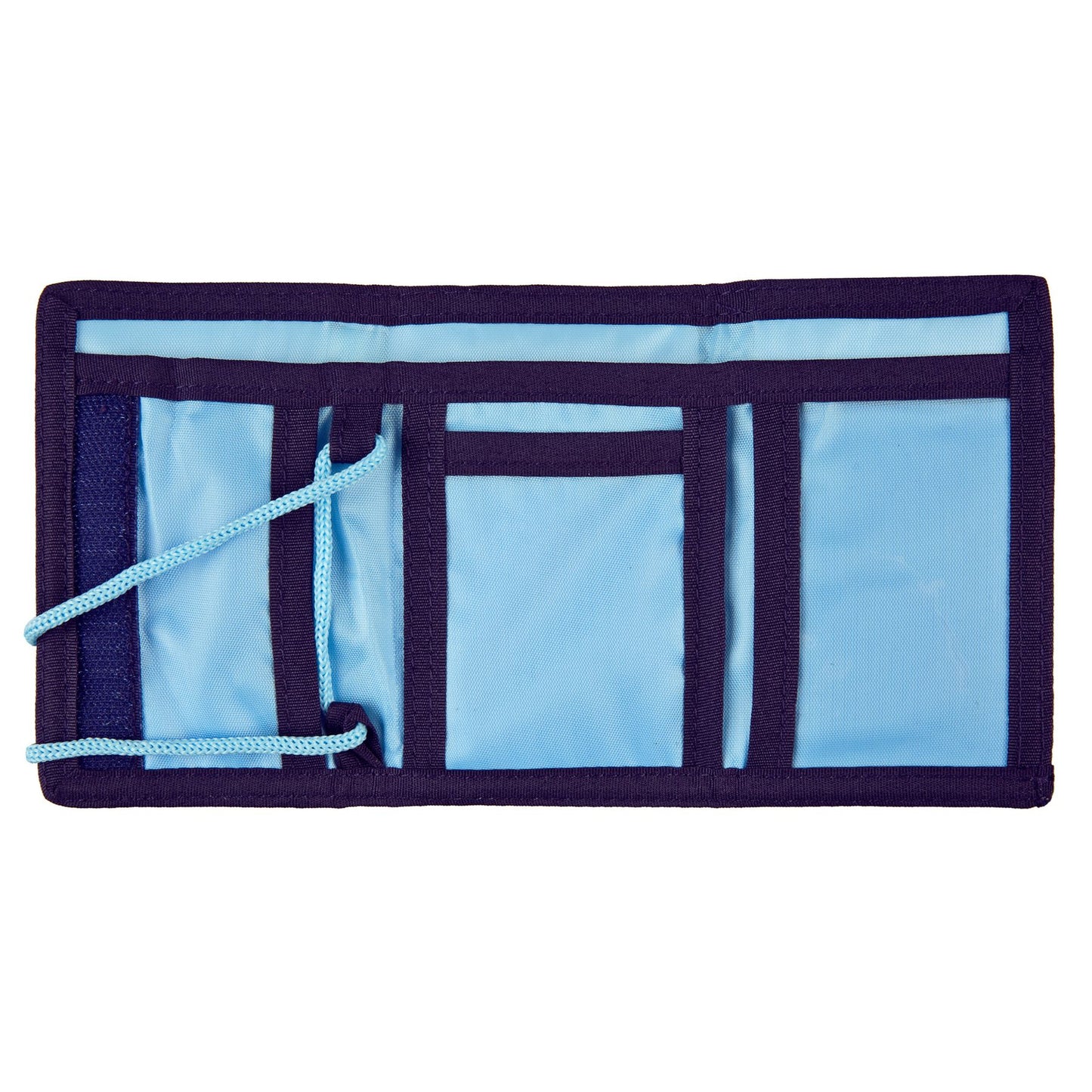Carteira Bluey