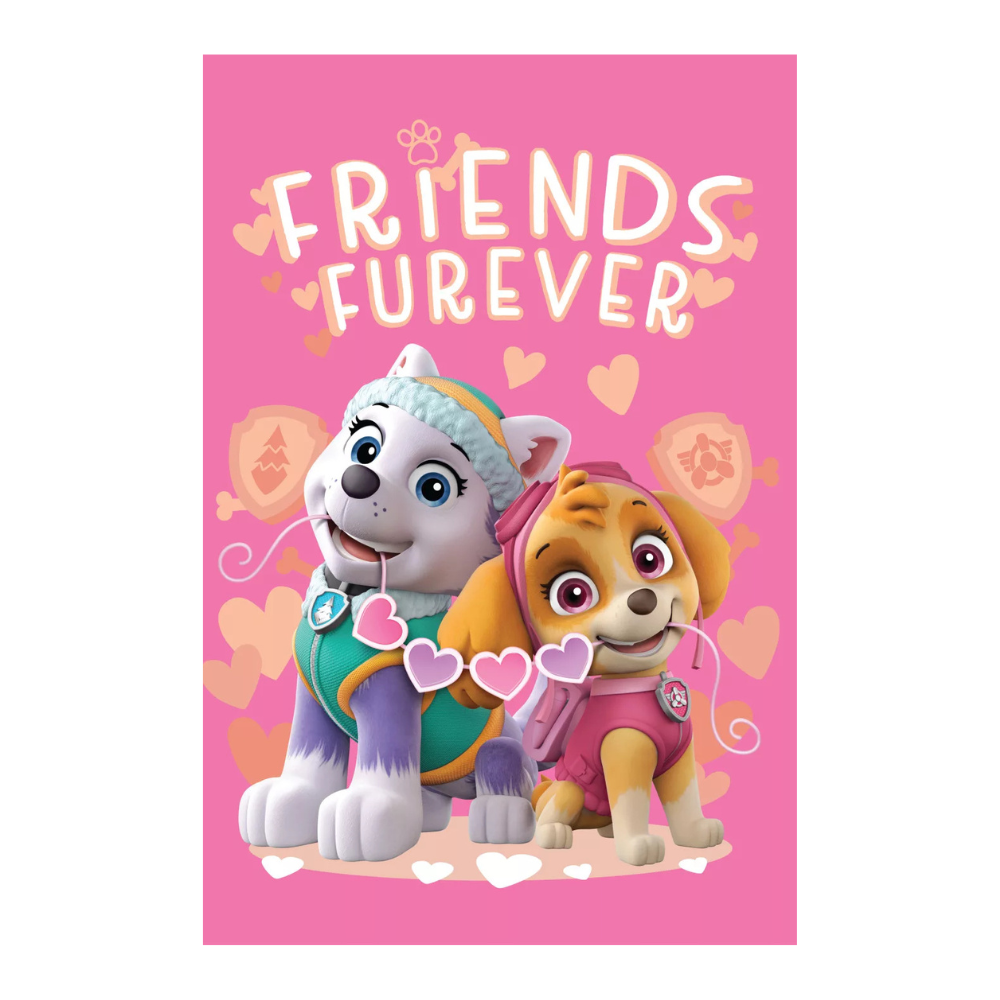 Manta Polar Patrulha Pata Friends Furever (100x150) - BONECADA